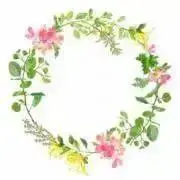 mintの画像