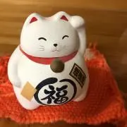 うらぽんの画像