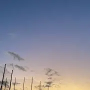 Sab