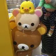 にょんこ