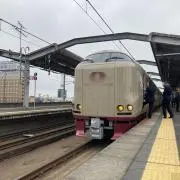 特L