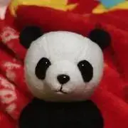 たかごんの画像