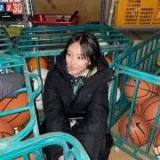 ひまわりの画像