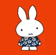 cocoa3の画像