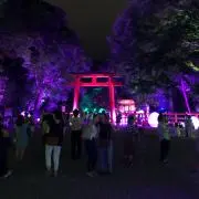 かなの画像