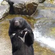 RYOの画像
