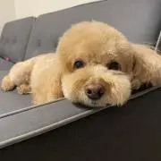 mariaの画像