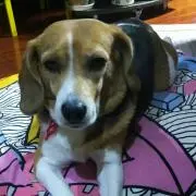 Hiroko