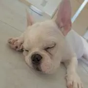 ゆーきの画像