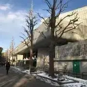 まな