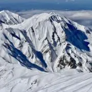 MAROの画像