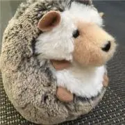 ハリネズミ