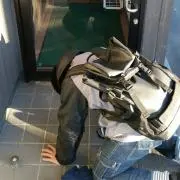 ぺんどらの画像
