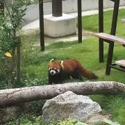 Otohuの画像