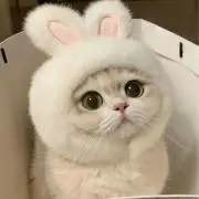 ふとんの画像
