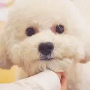 ふに