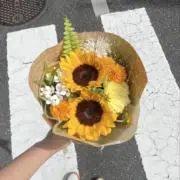 Fujimiの画像