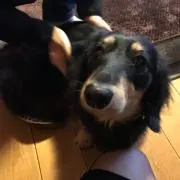 TOMOMIの画像