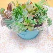 ✳️ concentrationの画像