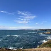 海と猫と島。大セール！