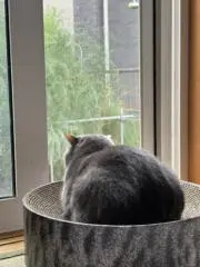 junの画像