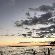 ひなの画像