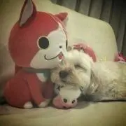 *MAYU*