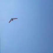 ちよ