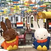 あいりんごの画像