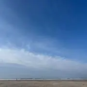あじたまの画像