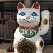 ボンボンの画像