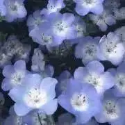 め　6/12〜6/17発送不可の画像