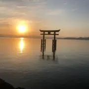 ピョン吉の画像