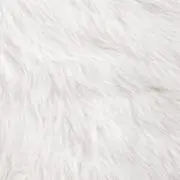 Cの画像