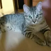 りぃ☆プロフ必読