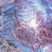 mの画像