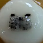 惑星の画像