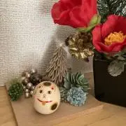 とむとむの画像