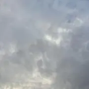 まめの画像