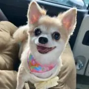 たけみの画像