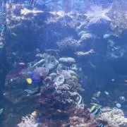 Na☆の画像