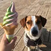 弐の画像