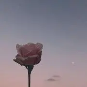 レディ