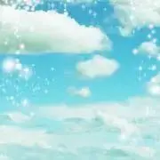 araaro8/10〜8/18発送不可の画像
