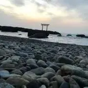 しゅうの画像