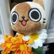 もみじの画像