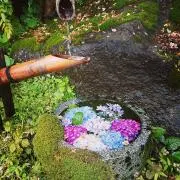 べるっちの画像