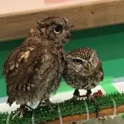 TK（プロフご確認下さい）の画像