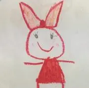 リンゴの画像