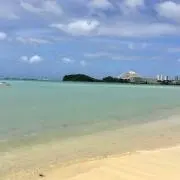 たなおの画像